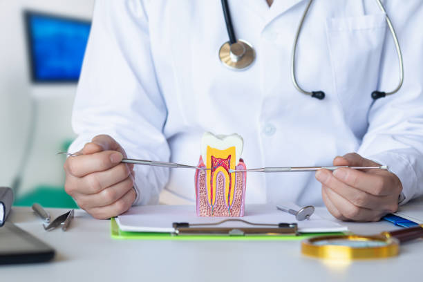 Best Emergency Root Canal Therapy in Towanda, KS